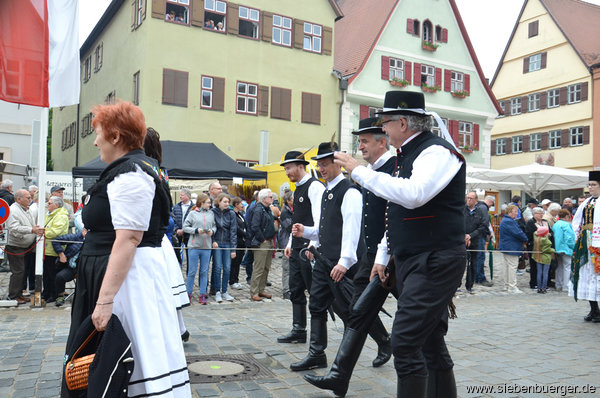 Bild Nr. 201