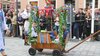 Bild Nr. 15