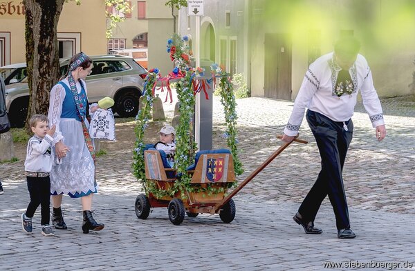 Bild Nr. 2