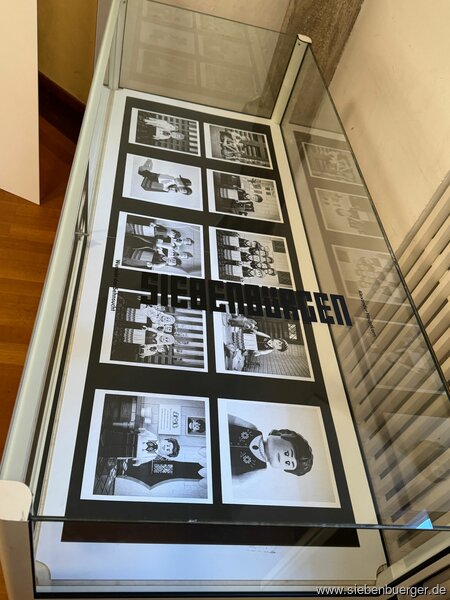 Bild Nr. 11