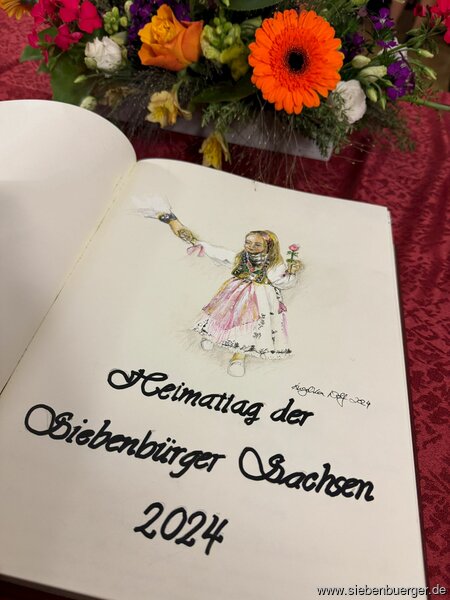 Bild Nr. 31