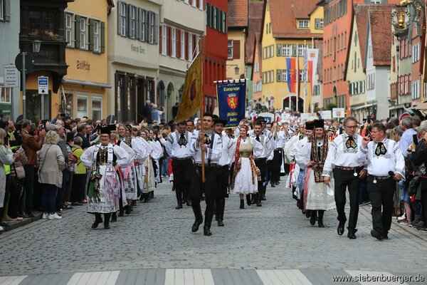 Bild Nr. 5