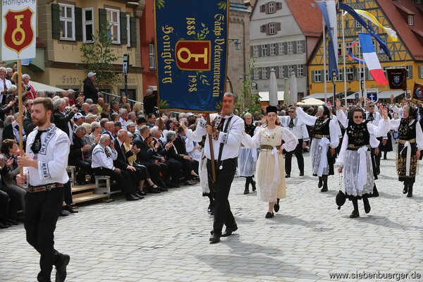 Bild Nr. 94