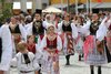 Bild Nr. 64