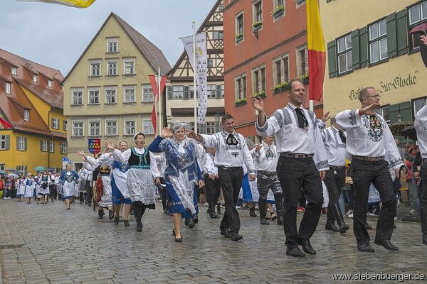 Bild Nr. 95