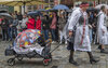 Bild Nr. 25