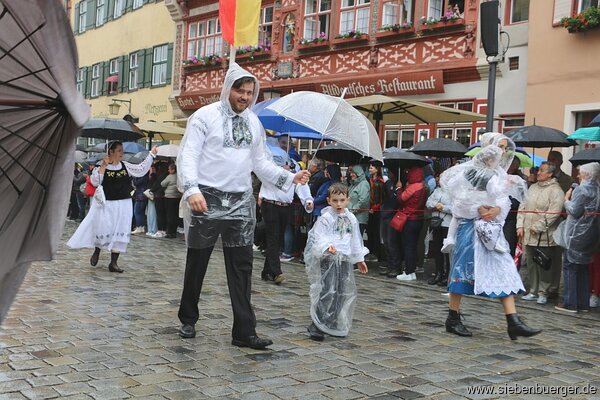Bild Nr. 86