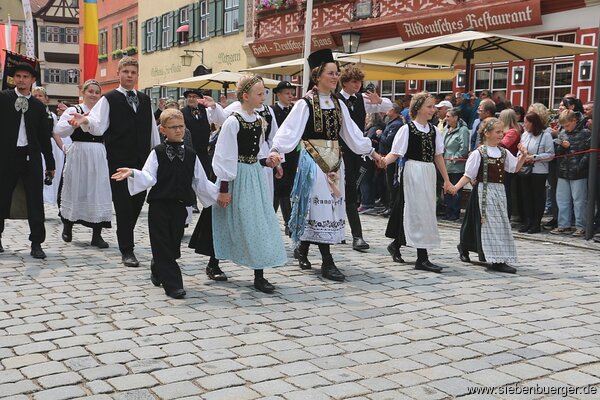 Bild Nr. 240