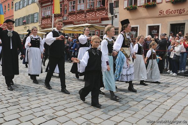 Bild Nr. 241