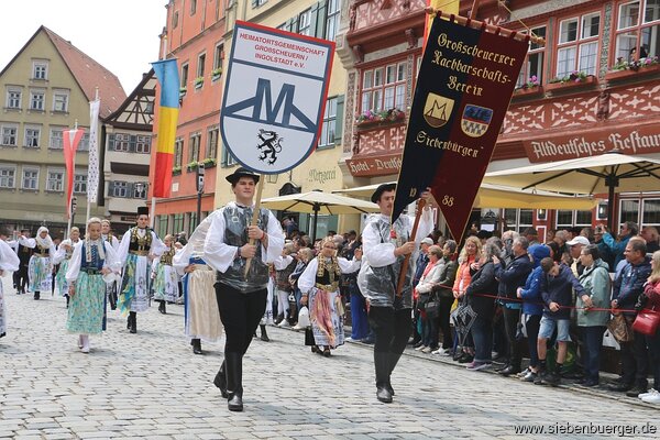 Bild Nr. 242