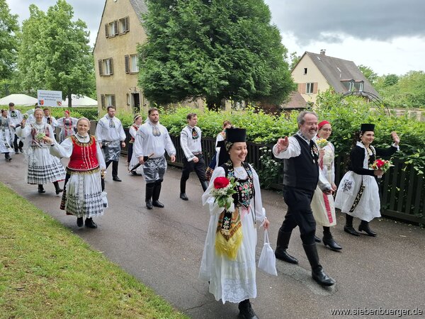 Bild Nr. 33