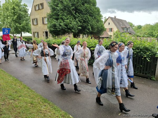 Bild Nr. 35