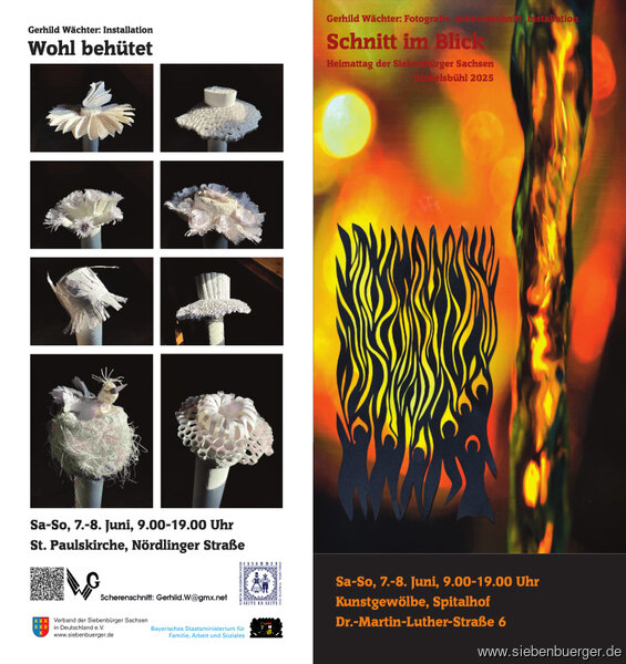 Bild Nr. 10