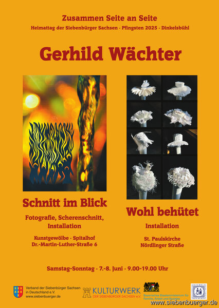 Bild Nr. 9