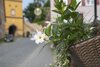 Bild Nr. 16