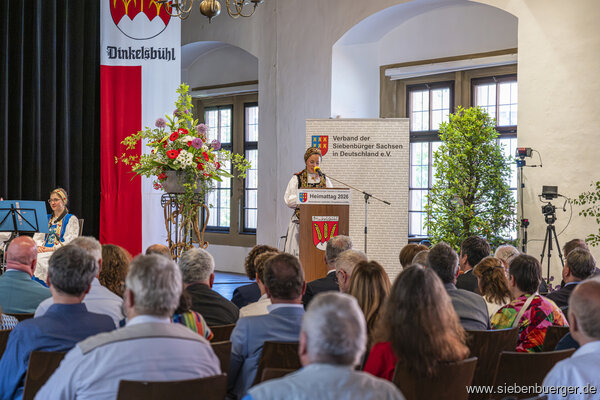Bild Nr. 10