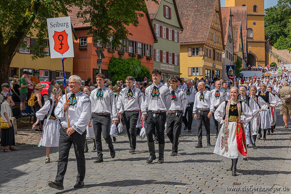 Bild Nr. 42