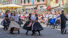 Bild Nr. 26