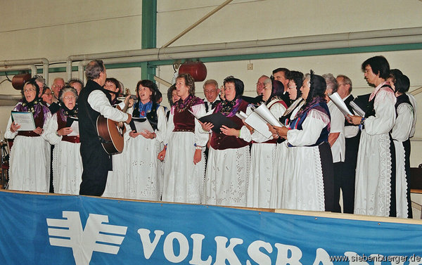 Bild Nr. 5