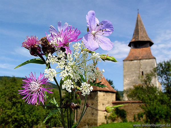 Blumengru mit Kirche aus Radeln