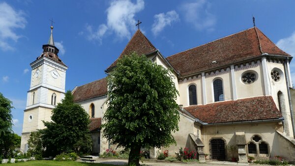 Bartholomae im Jahr 2016