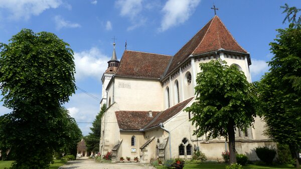 Bartholomae im Jahr 2016