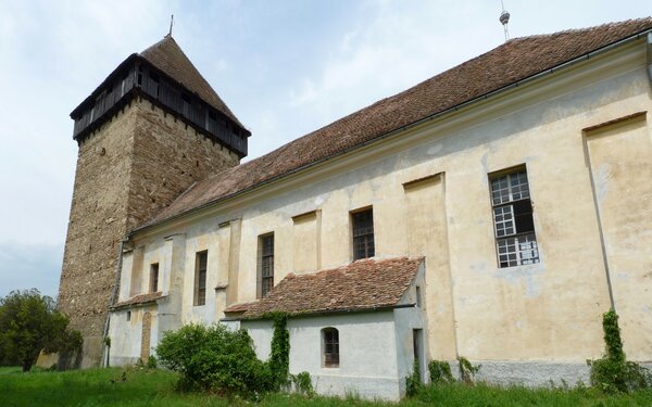Bekokten im Jahr 2015