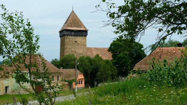 Bekokten im Jahr 2014
