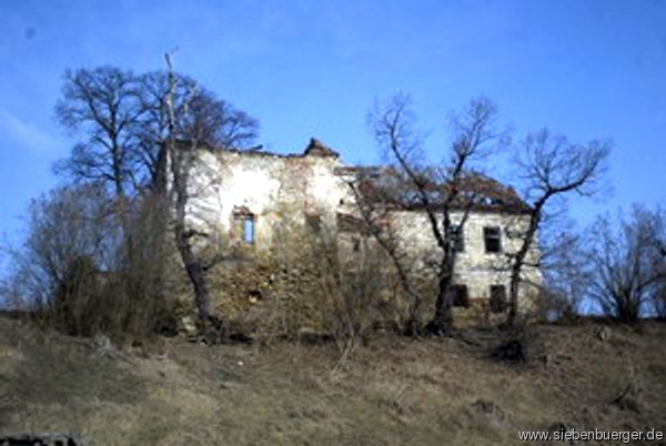 Ruine Schloss  Lulay-Thobiassy- Pempflinger in Bell/Bolya.2xvergrssert. Geschickt Georg Schoenpflug von Gambsenberg.