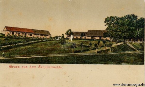 Bistritz-Schullerwald