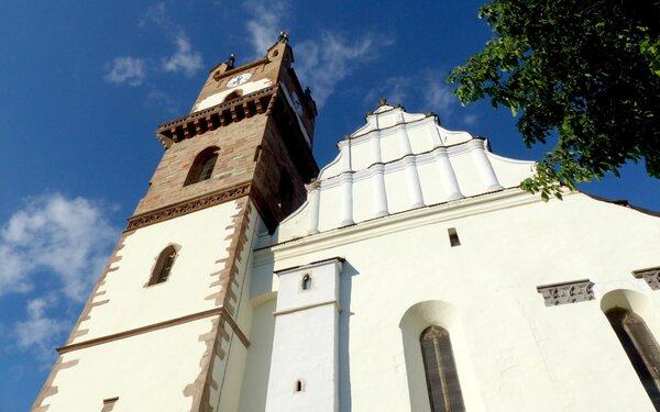 Bistritz im Jahr 2022