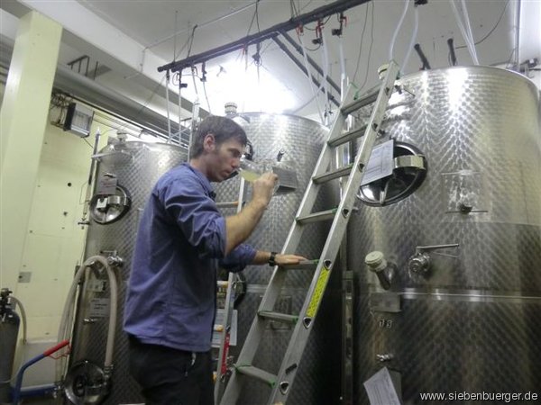 Der Bogeschdorfer Wein - 2014 - wird in Deutschland ausgebaut