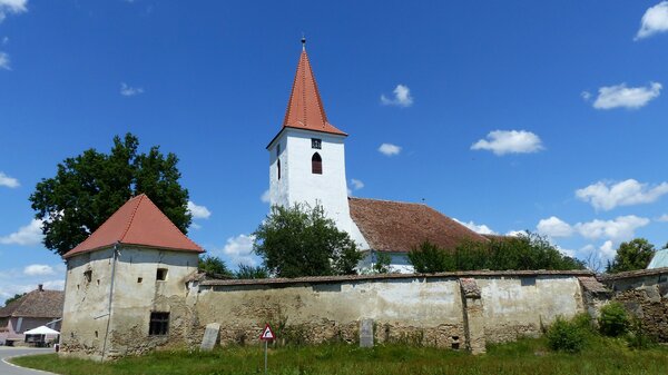 Braller im Jahr 2022