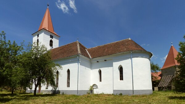 Braller im Jahr 2015