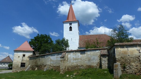 Braller im Jahr 2015