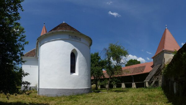 Braller im Jahr 2015