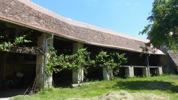 Braller im Jahr 2015