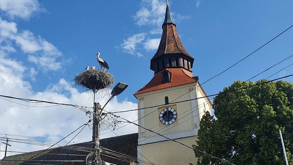 Brenndorf im Jahr 2022