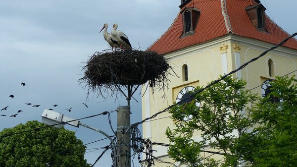 Brenndorf im Jahr 2016