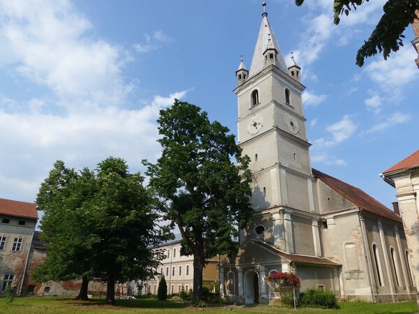 Broos im Jahr 2015