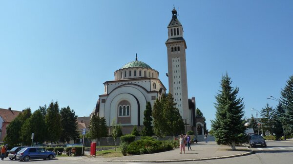 Broos im Jahr 2011
