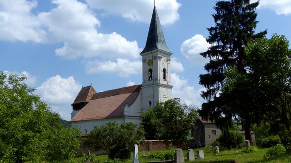 Bulkesch im Jahr 2015