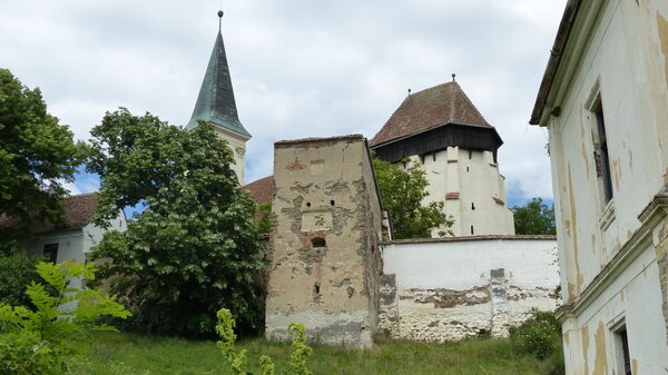 Bulkesch im Jahr 2023