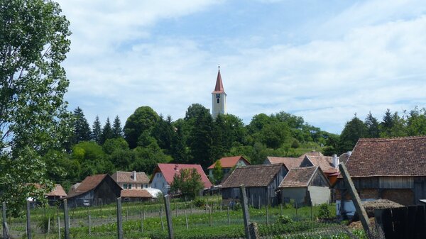 Burgberg im Jahr 2015