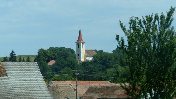 Burgberg im Jahr 2015