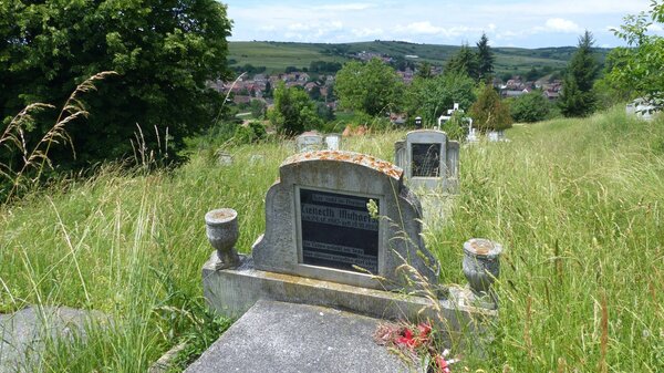 Burgberg im Jahr 2015