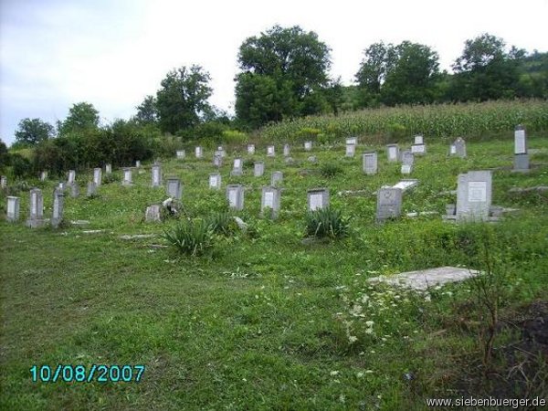 Friedhof 08. 2007