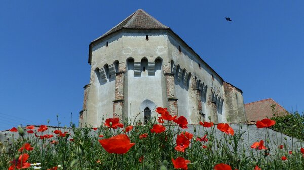 Bu�d bei M�hlbach im Jahr 2015