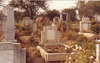 Friedhof   ~ alte Fotos ~