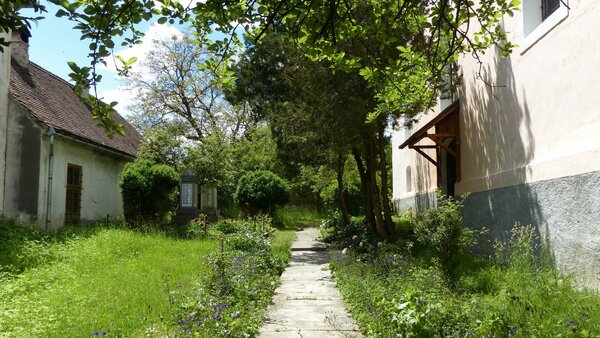 Deutschtekes im Jahr 2017